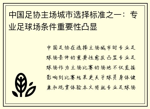 中国足协主场城市选择标准之一：专业足球场条件重要性凸显